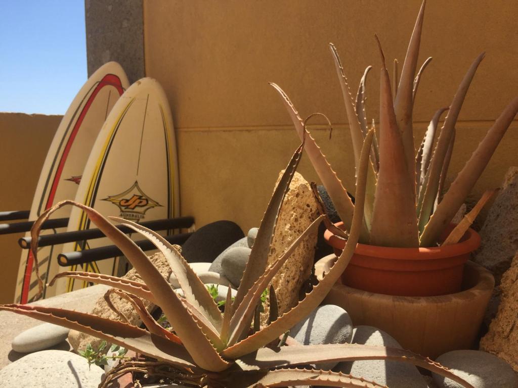Casa Paradise - 5