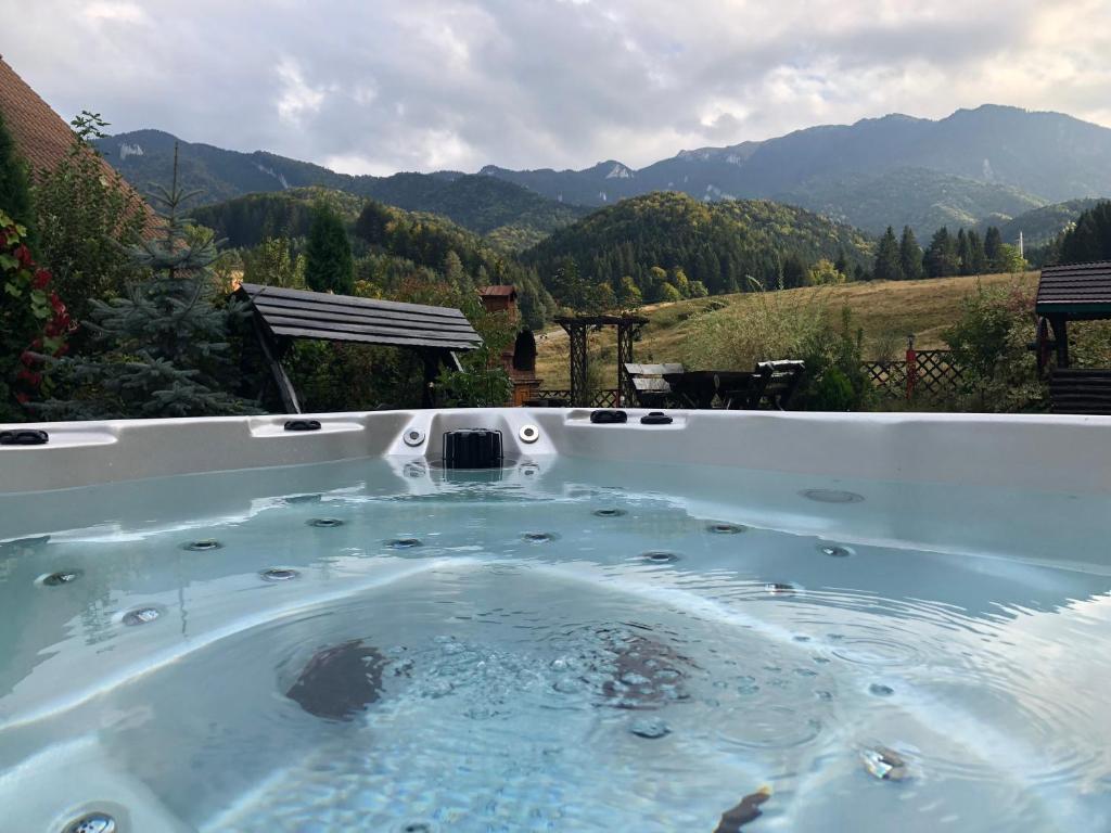 Hot Tub Chalet Retreat — Hotel in Timisul De Jos