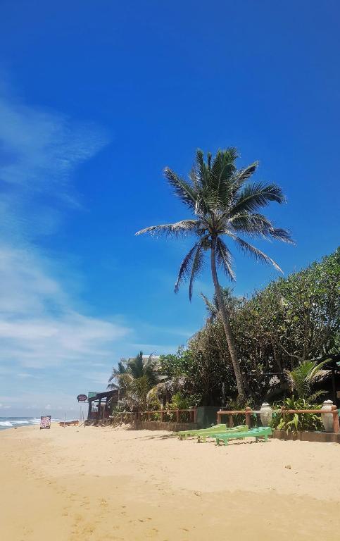 The Beach Heaven photo