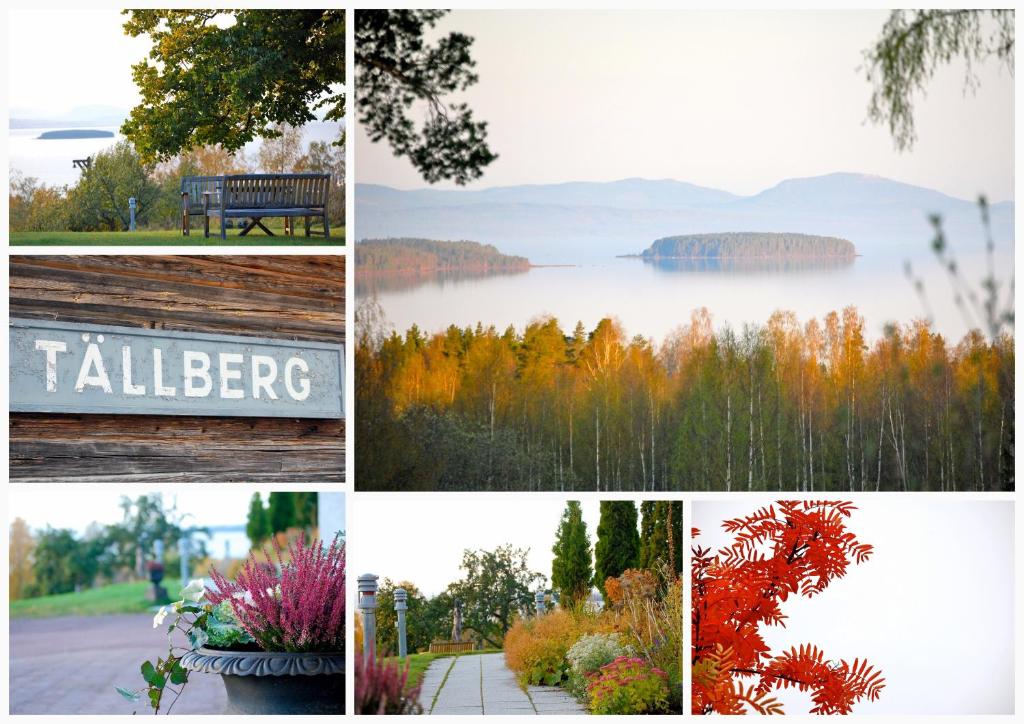 Dalecarlia Hotel & Spa, Bw Premier Collection Photo 20