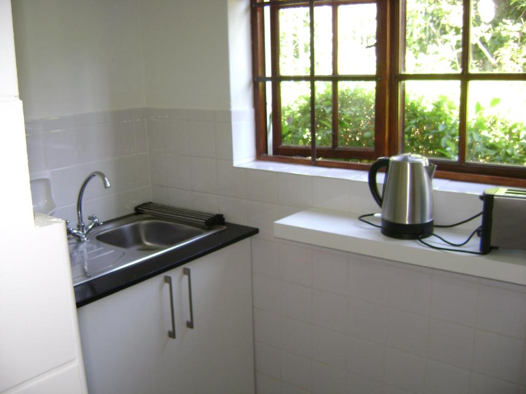 Mountain View Cottage photo