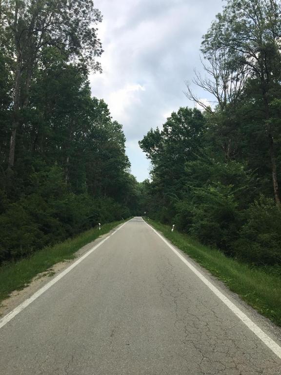 Surrounding environment