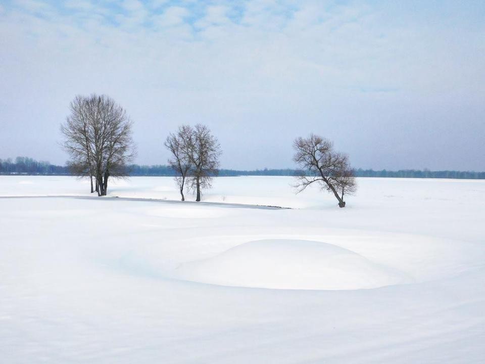 Surrounding environment