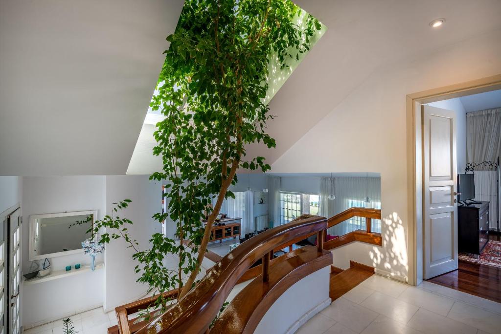 Villa Valasia photo