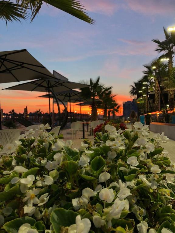 Royal G Hotel & SPA 4 Star — Beach in Durres, Durres