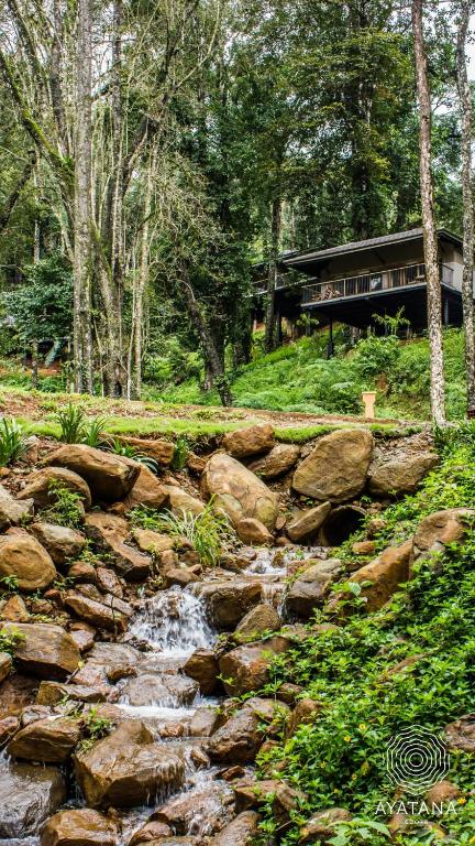 Surrounding environment