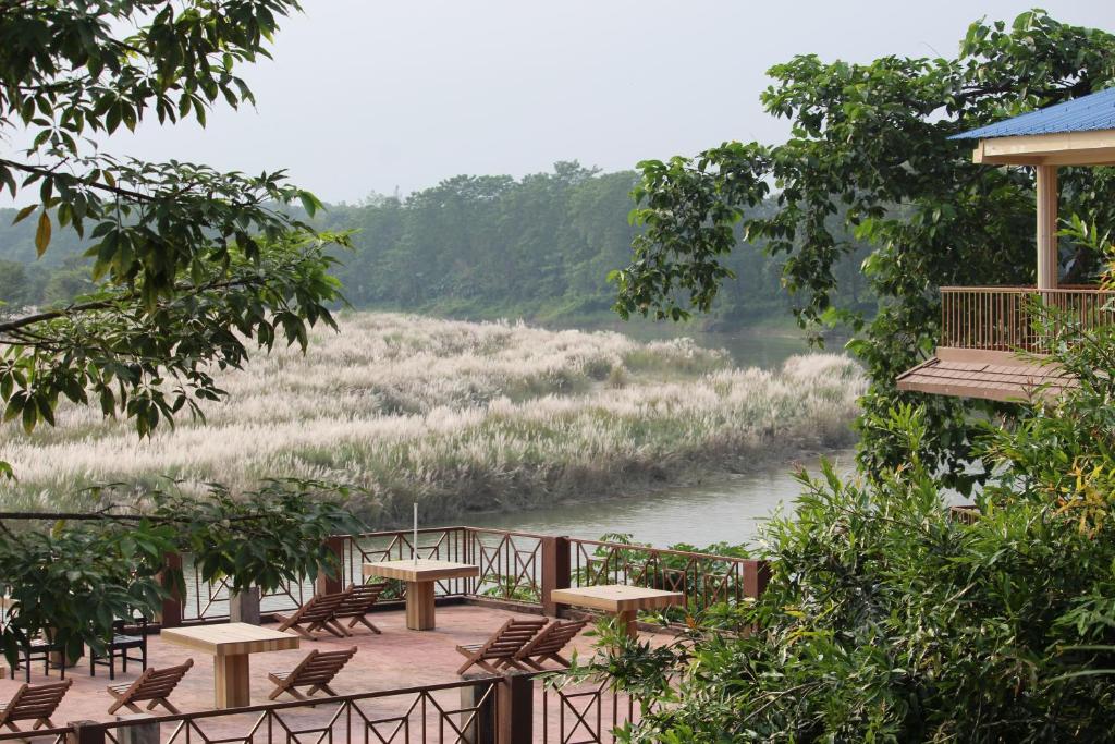 جانجل وايلد لايف كامب (Jungle Wildlife Camp)