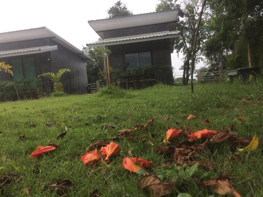 ทัศนียภาพภายนอกโรงแรม