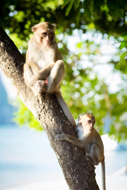 Surrounding environment