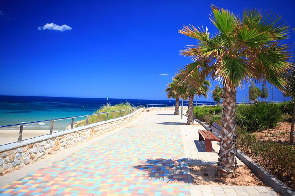 Penthouse 2 bedrooms in Mil Palmeras - 4