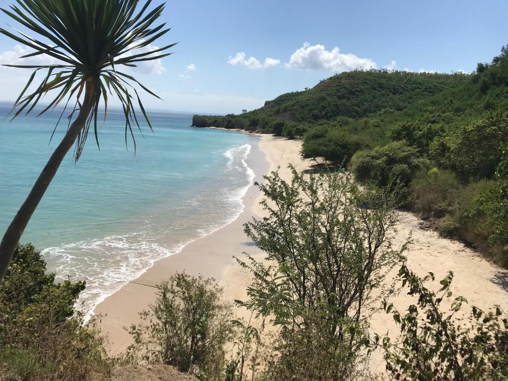 Ekas Surf Resort photo
