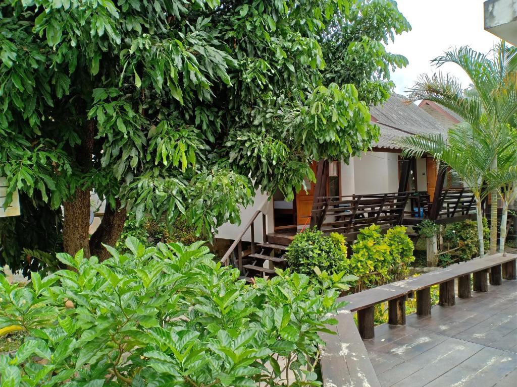 paibaansuan photo