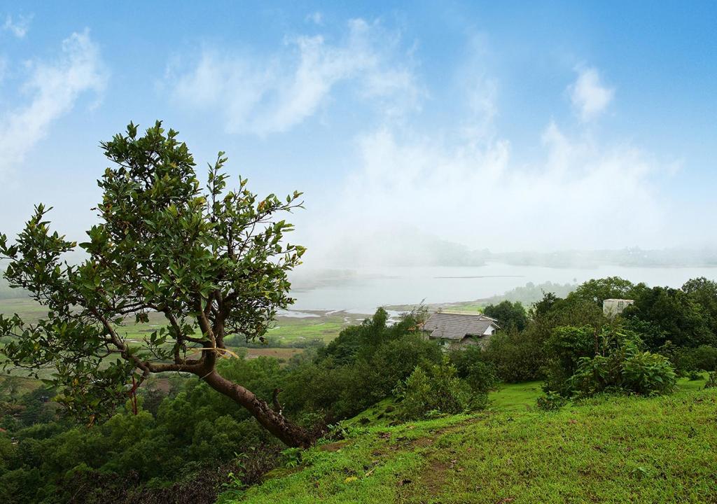 View, Bungalow 89 by StayVista - A hill-view villa adorned with eclectic interiors for a truly unique & ca in Lonavala