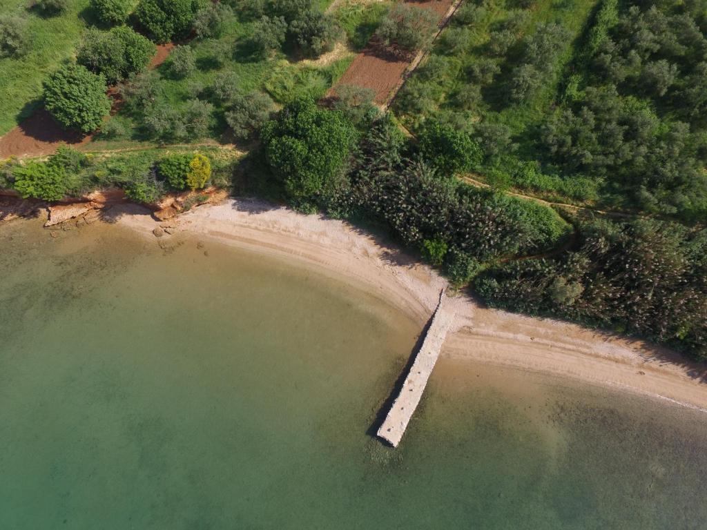 Mobile homes Kamp Maslina, Biograd na Moru photo