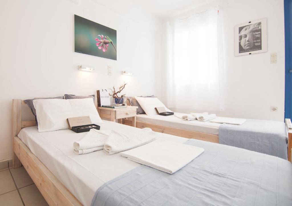 Alea Apartments photo