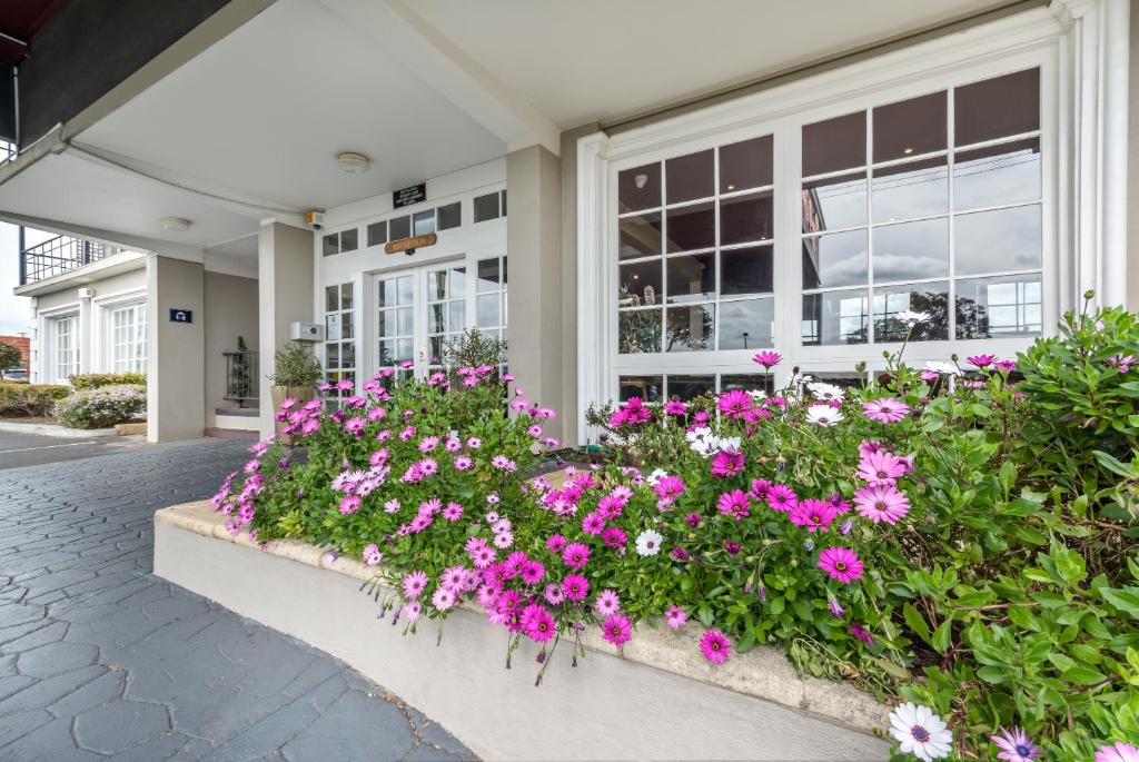ibis styles Albany photo