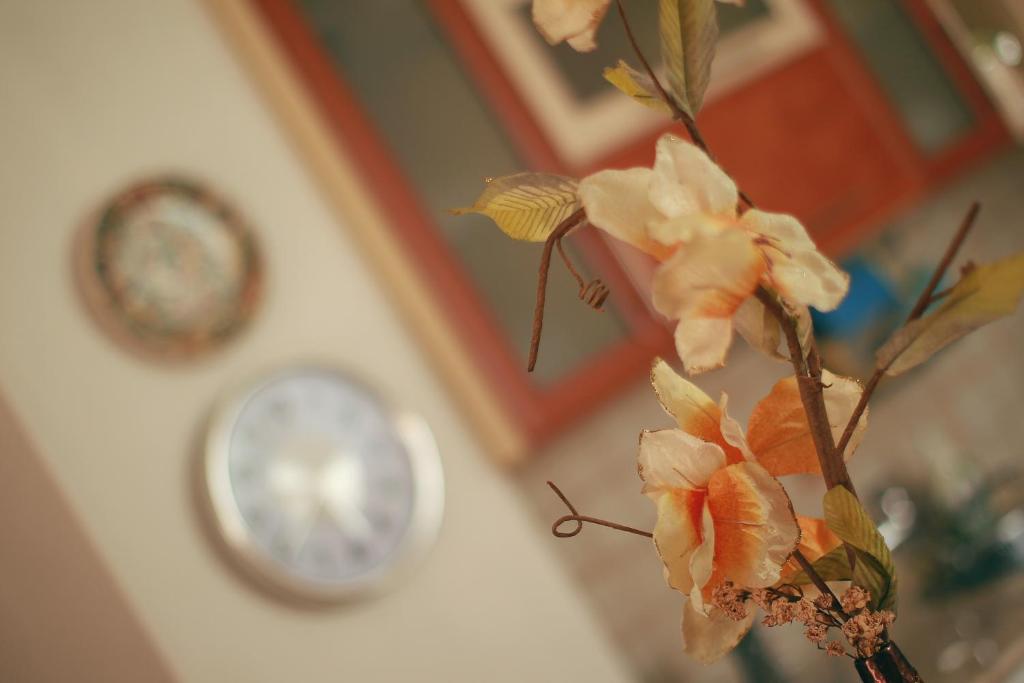 Villa Kirjana photo