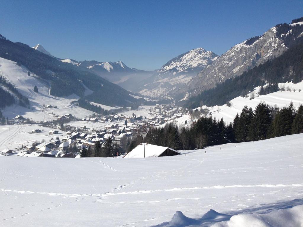 Ski La Cote - 2