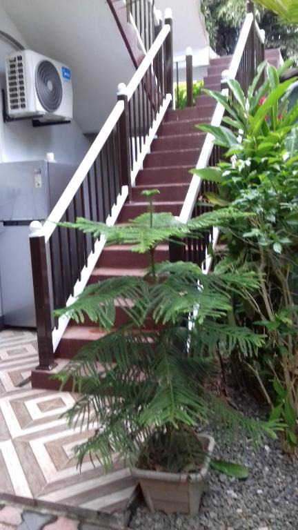 Rainbow Guest House photo