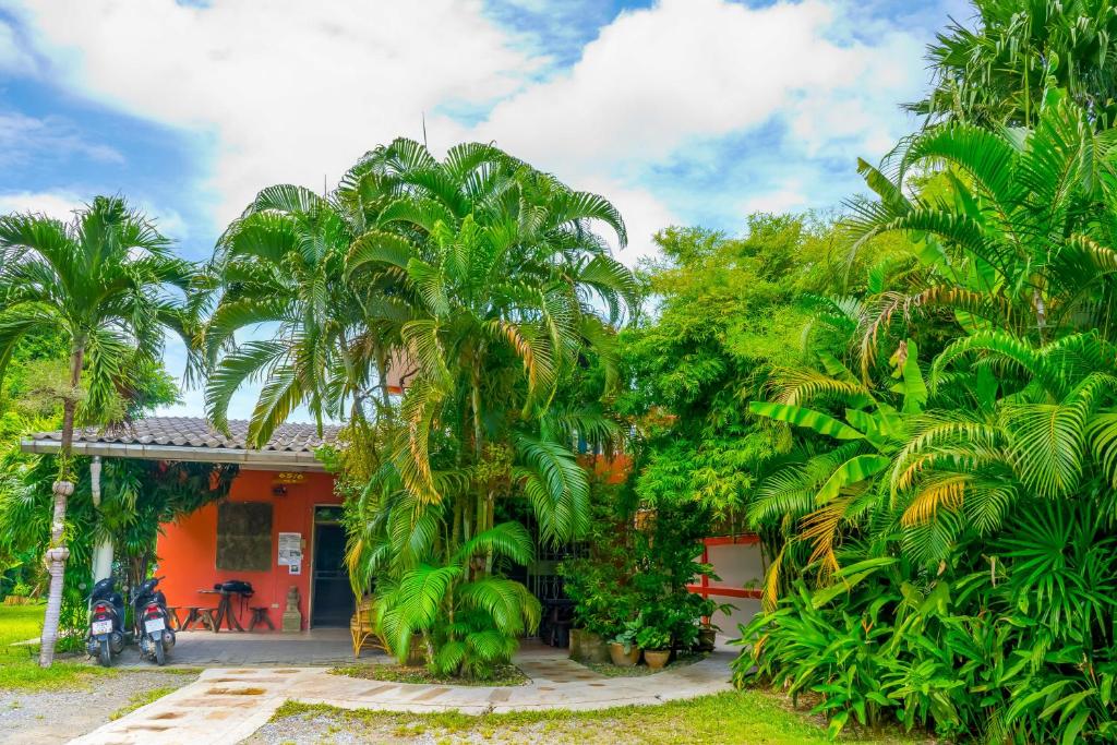 Surrounding environment