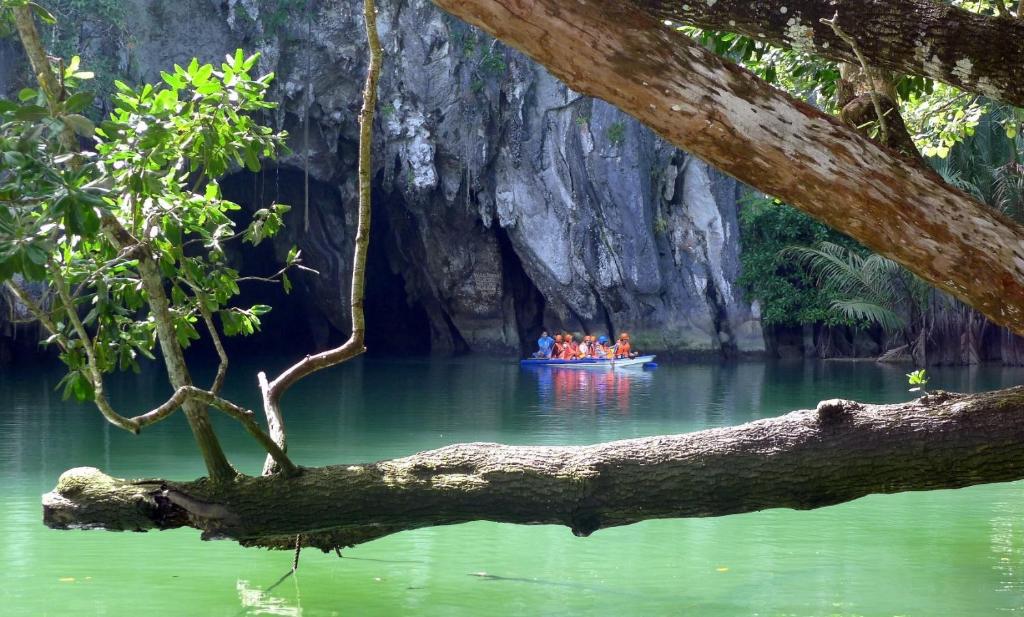 Surrounding environment