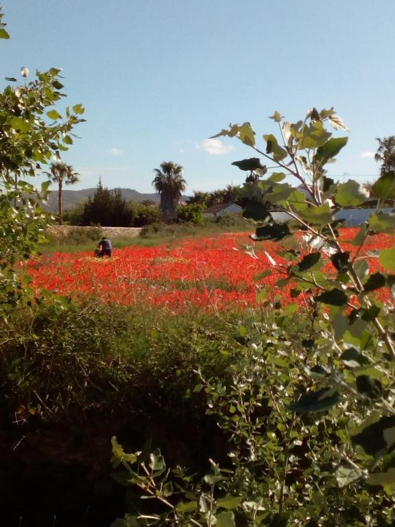 Beautiful Benissa Views - 5