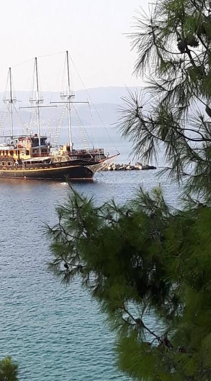 Casa Sol Apartments Sithonia photo
