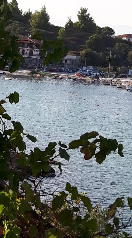 Casa Sol Apartments Sithonia photo