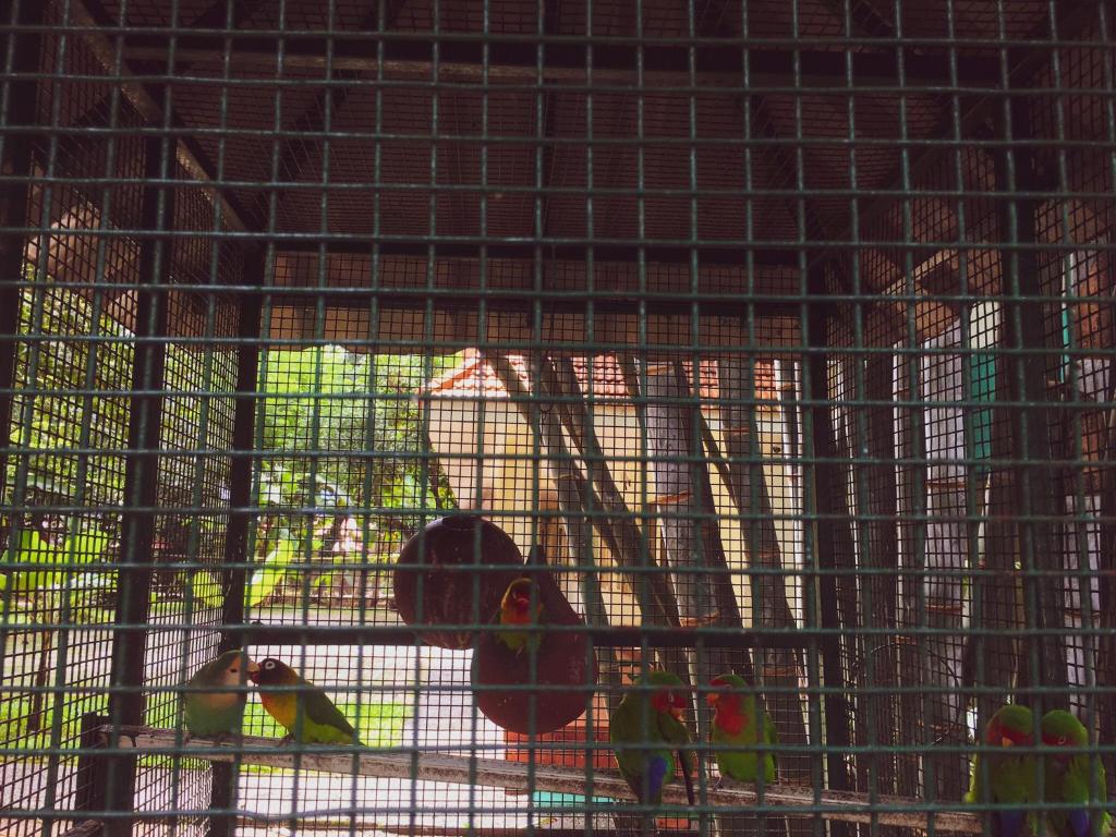 Palmgrove service villa photo