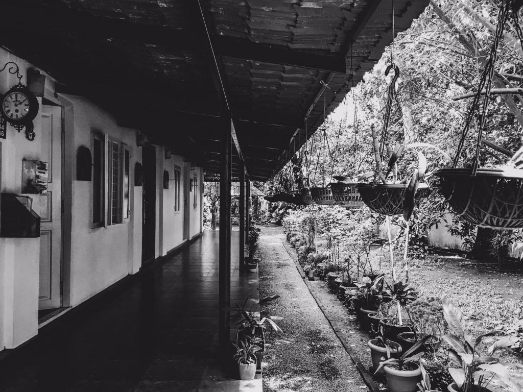 Palmgrove service villa