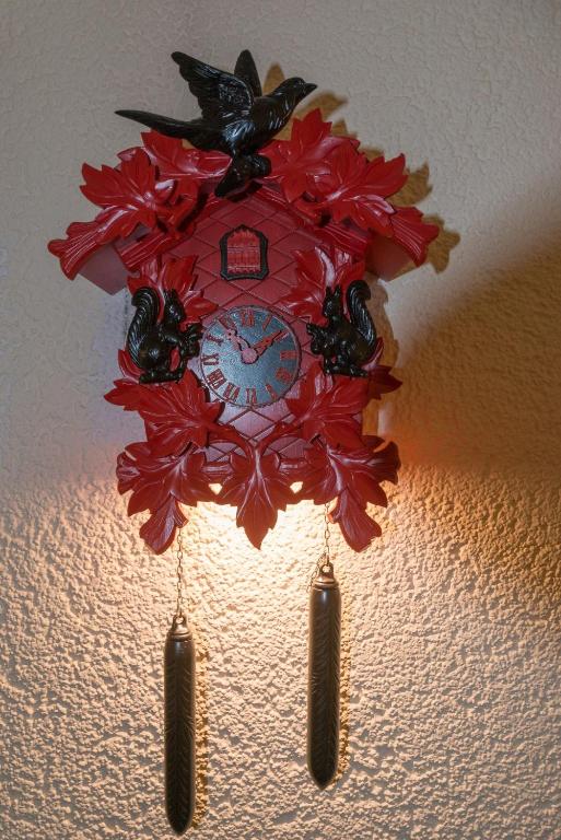 Hotel Kammerer photo