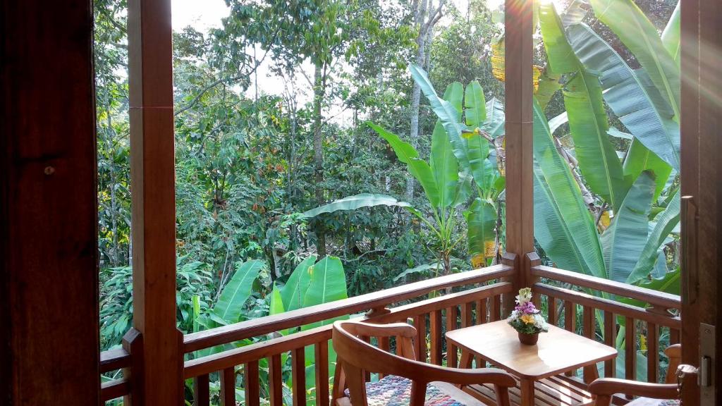 Jungle Joglo photo