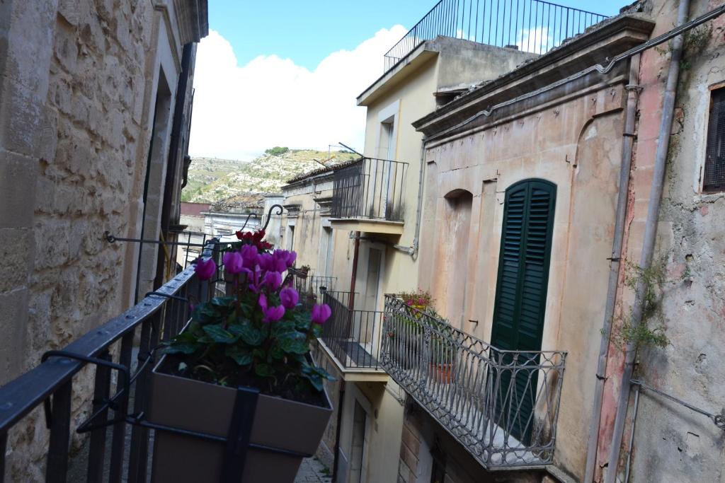 PIETRAVIVA photo