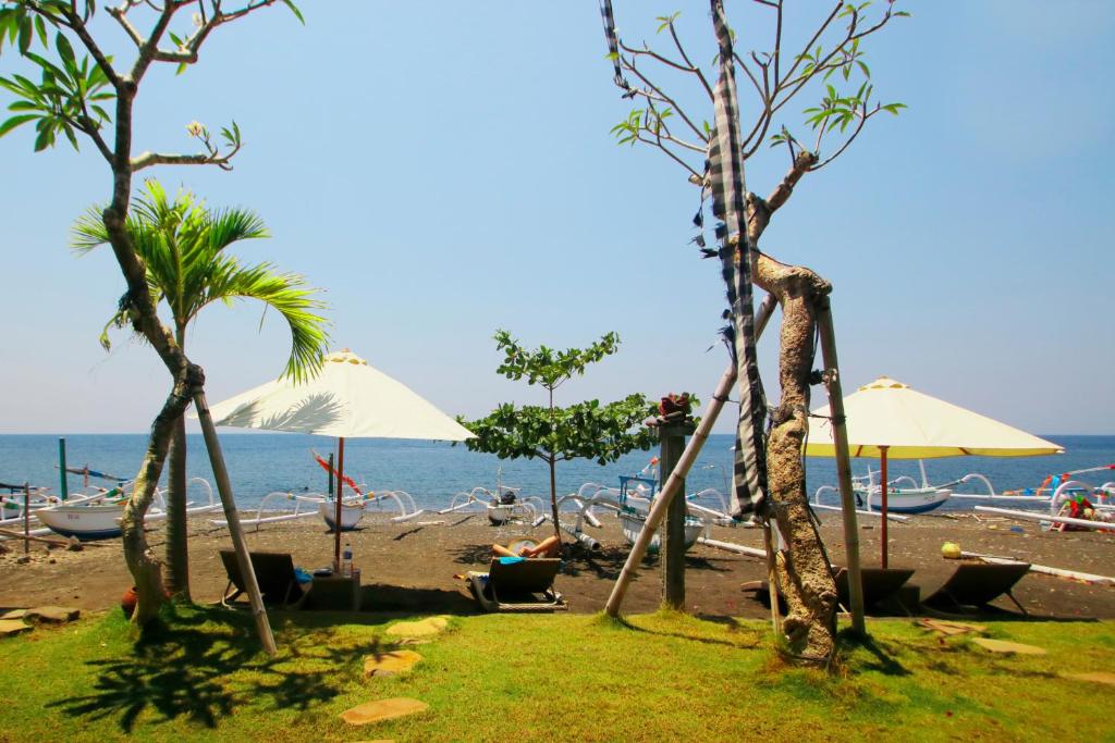 Valomia Beachfront photo