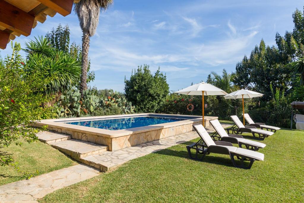 Hort de Can Roig - 5
