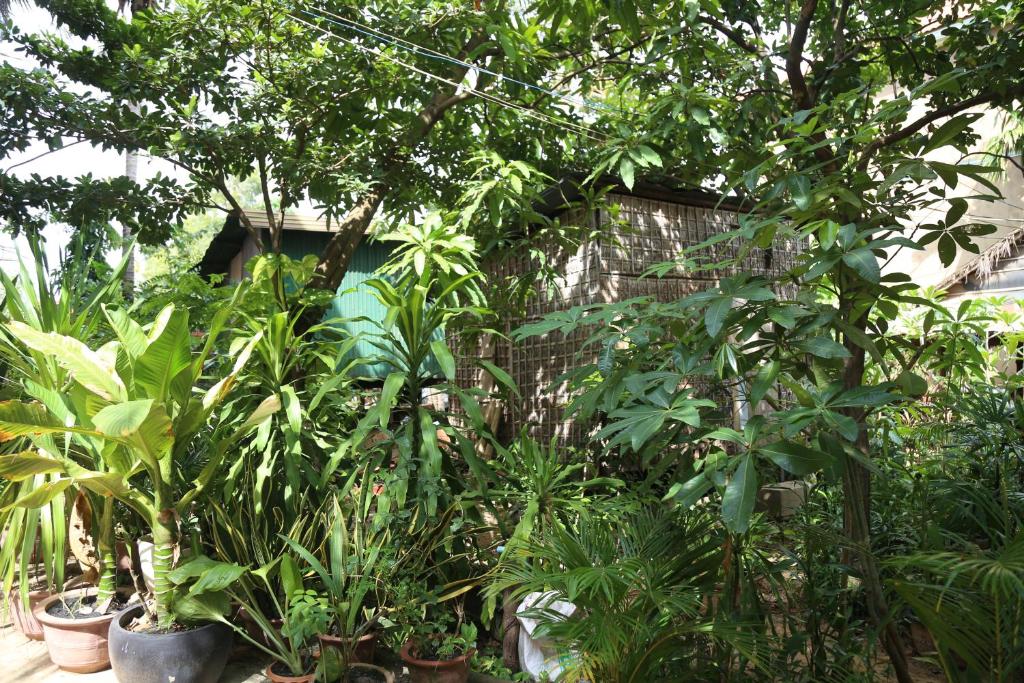 Panhanita Apartment and Villa photo