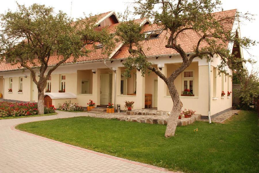 Borsika panzio photo