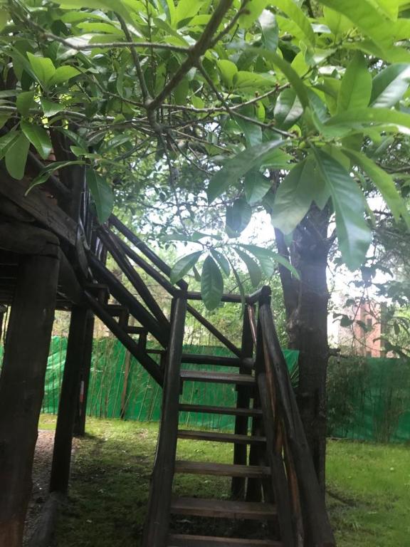 La Casa Del Arbol con pileta privada photo