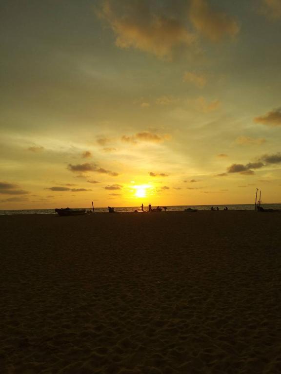 Ocean Gate Negombo photo
