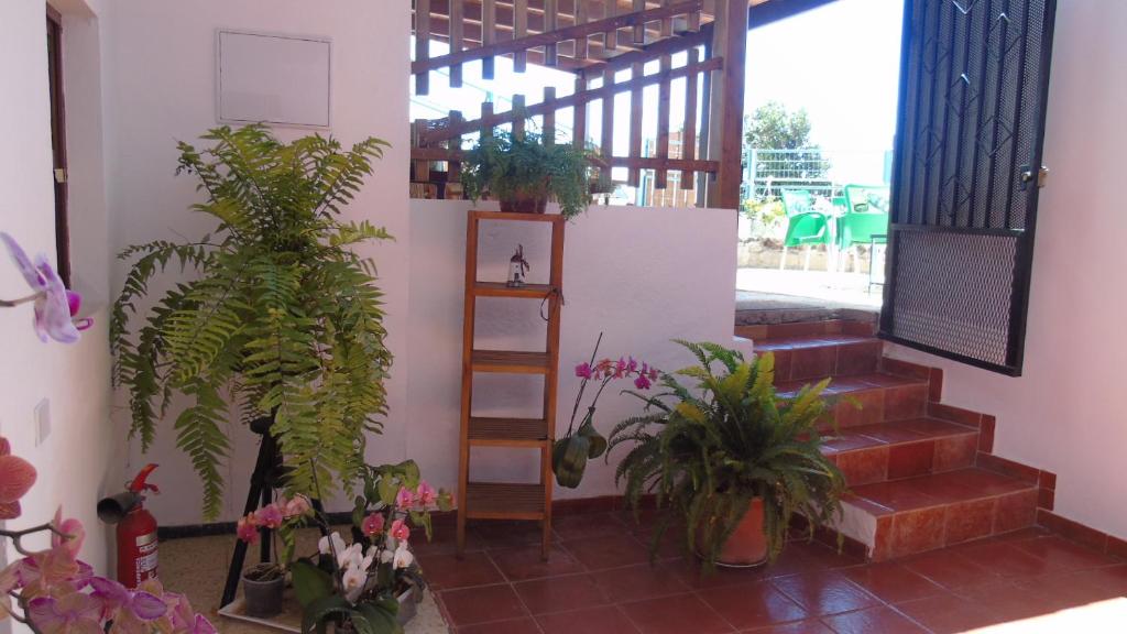 La Casita de Estrella — Hotel in Tenerife