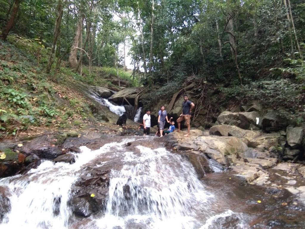 Surrounding environment