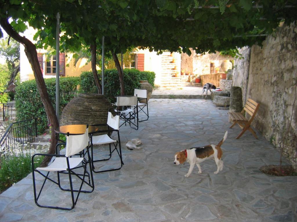 Archontiko Maisonettes photo