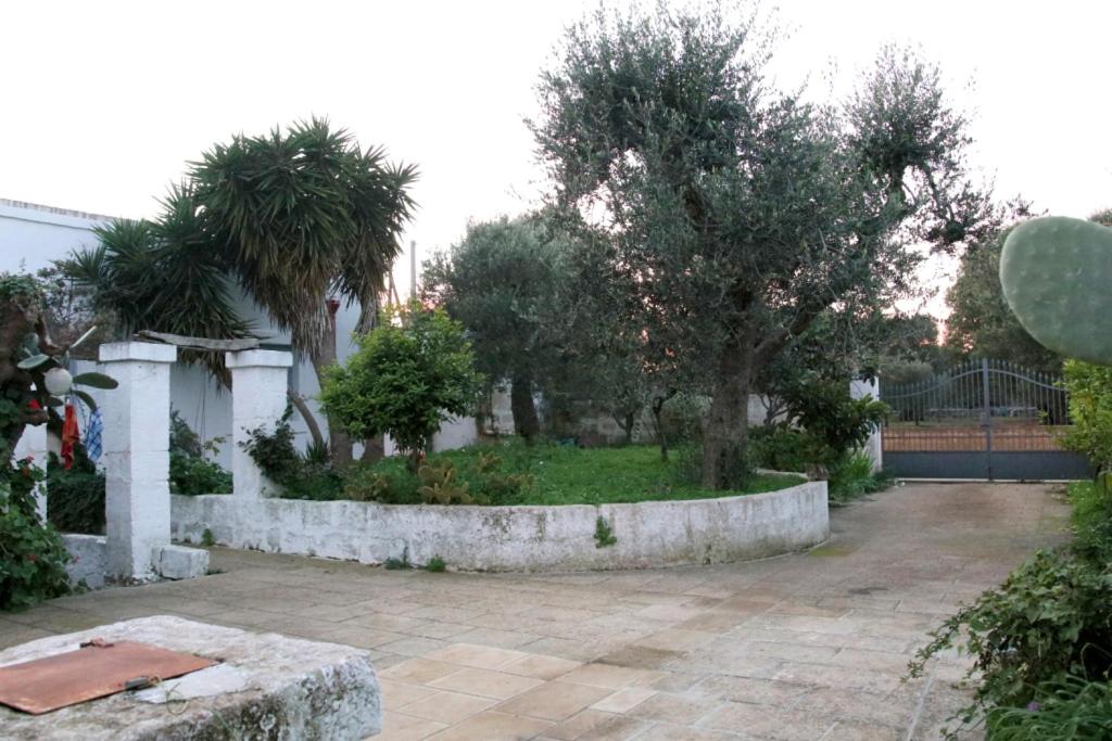 Masseria Fontana Vecchia - 2