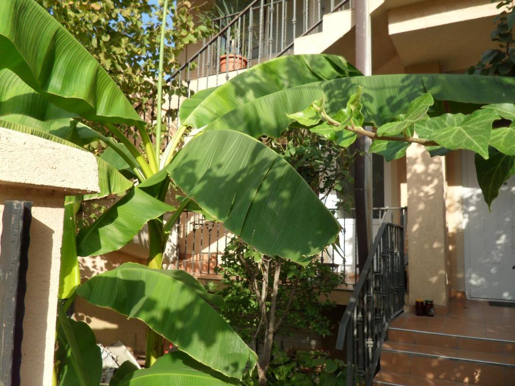 Misko's Guest House photo
