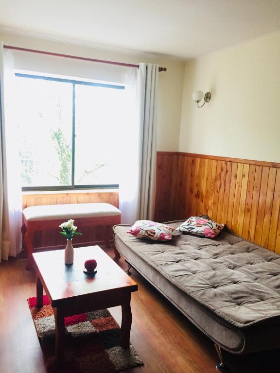 Departamento Pucón - 5