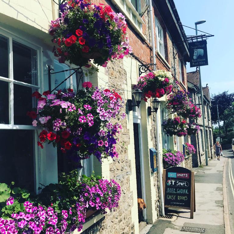 The Nags Head - Room only accommodation — Hotel in Lyme Regis