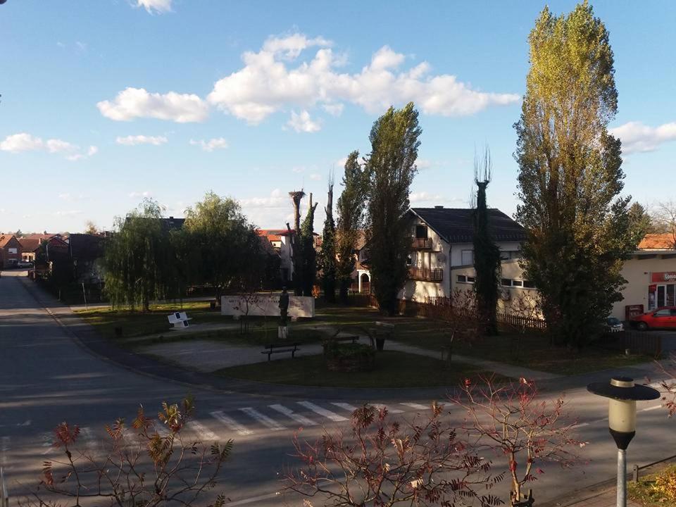 Surrounding environment