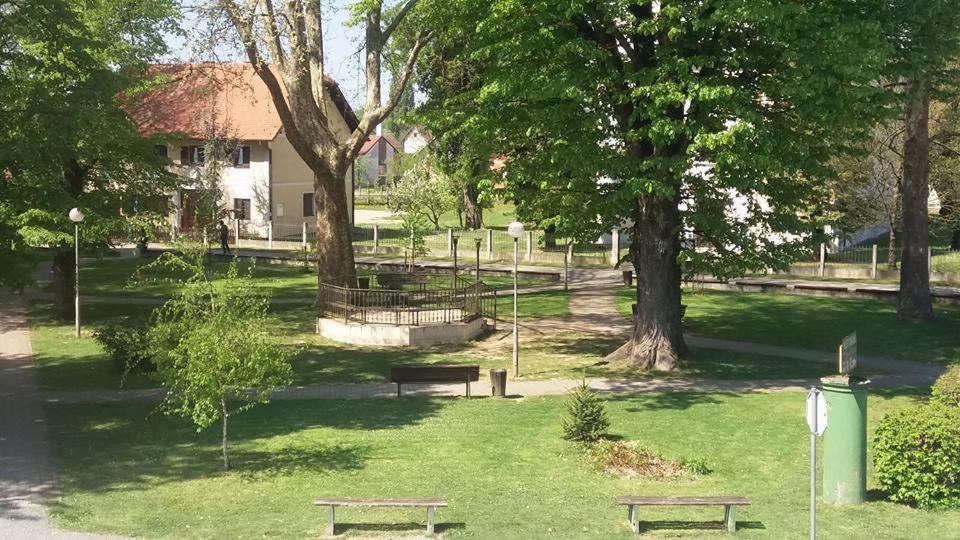 Surrounding environment