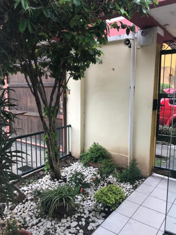 Hostal Don Nabil - 3