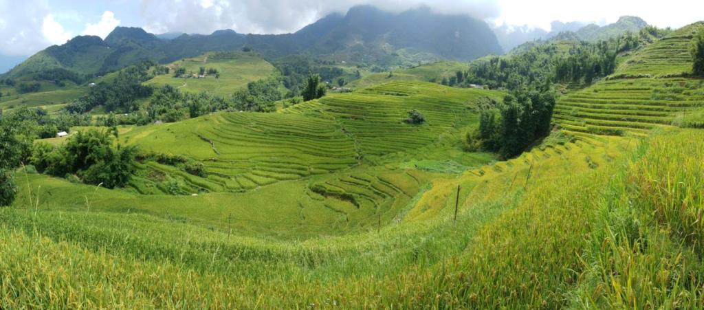 Sports and activities